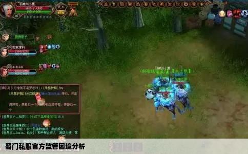 蜀门私服官方监管困境分析